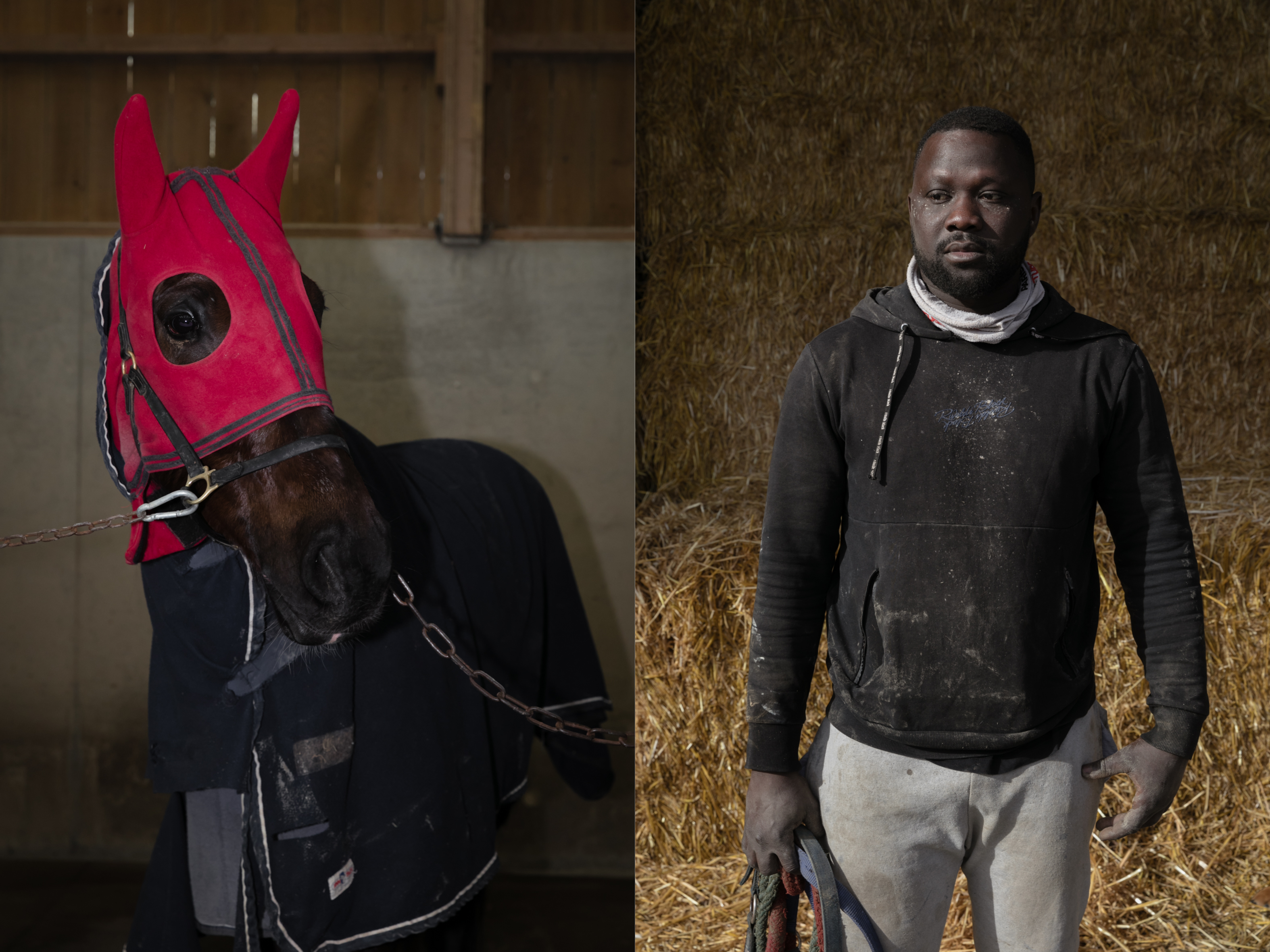 des chevaux et un Homme