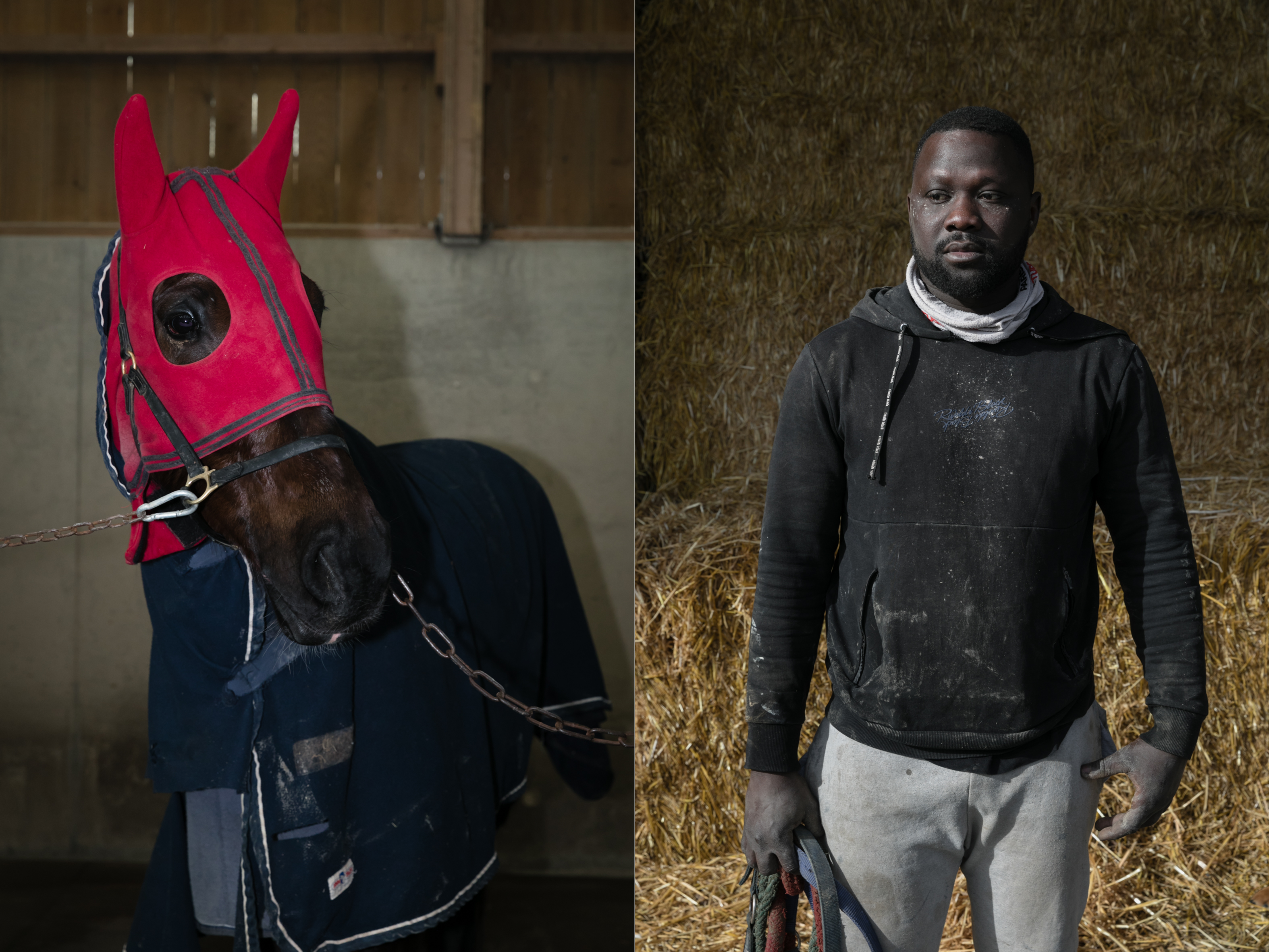 des chevaux et un Homme