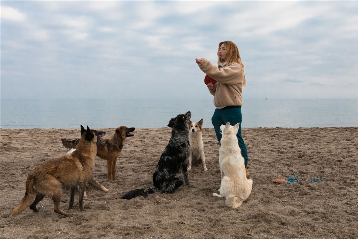 Jeune Emmy, cheveux roux, à Valras sur la plage, ciel à peine bleu, elle joue avec ses 6 chiens assis sur le sable doré. 